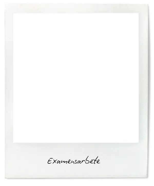 Examensarbete Polaroid